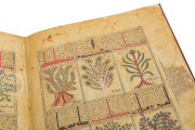 Kitab al-Diryaq, Paris, Bibliothèque Nationale de France, Ms. Arabe 2964 − Photo 16