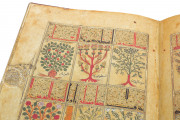 Kitab al-Diryaq, Paris, Bibliothèque Nationale de France, Ms. Arabe 2964 − Photo 18