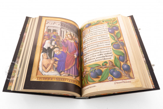 Great Hours of Anne of Brittany, Paris, Bibliothèque Nationale de France, Ms. Lat. 9474 − Photo 1