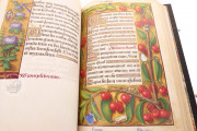 Great Hours of Anne of Brittany, Paris, Bibliothèque Nationale de France, Ms. Lat. 9474 − Photo 10