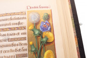Great Hours of Anne of Brittany, Paris, Bibliothèque Nationale de France, Ms. Lat. 9474 − Photo 17