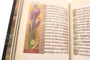 Great Hours of Anne of Brittany, Paris, Bibliothèque Nationale de France, Ms. Lat. 9474 − Photo 19