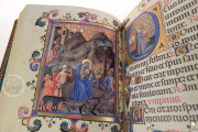 Book of Hours of Maria of Navarre, Venice, Biblioteca Nazionale Marciana, Ms. Lat. I 104/12640 − Photo 6