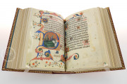 Book of Hours of Maria of Navarre, Venice, Biblioteca Nazionale Marciana, Ms. Lat. I 104/12640 − Photo 7