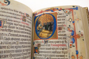 Book of Hours of Maria of Navarre, Venice, Biblioteca Nazionale Marciana, Ms. Lat. I 104/12640 − Photo 10