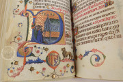 Book of Hours of Maria of Navarre, Venice, Biblioteca Nazionale Marciana, Ms. Lat. I 104/12640 − Photo 11