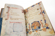 Book of Hours of Maria of Navarre, Venice, Biblioteca Nazionale Marciana, Ms. Lat. I 104/12640 − Photo 15