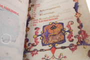 Book of Hours of Maria of Navarre, Venice, Biblioteca Nazionale Marciana, Ms. Lat. I 104/12640 − Photo 16