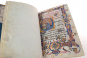 Book of Hours of Maria of Navarre, Venice, Biblioteca Nazionale Marciana, Ms. Lat. I 104/12640 − Photo 19