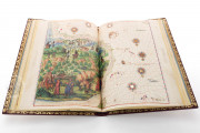 Vallard Atlas, San Marino, Huntington Library, Art Collections, and Botanical Gardens, HM 29 − Photo 6