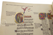Great Canterbury Psalter, Paris, Bibliothèque nationale de France, MS lat. 8846 − Photo 24