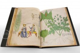 Sloane Tractatus de Herbis Facsimile Edition