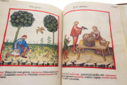 Casanatense Theatrum Sanitatis, Rome, Biblioteca Casanatense, MS 4182 − Photo 17