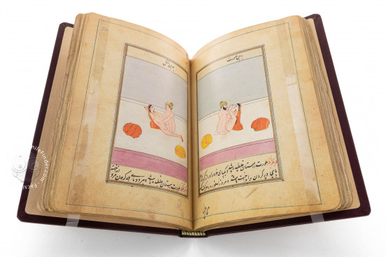 Ladhdhat al-nisâ (The pleasures of women), Paris, Bibliothèque nationale de France, Suppl. Persan 1804 − Photo 1