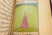 Ladhdhat al-nisâ (The pleasures of women), Paris, Bibliothèque nationale de France, Suppl. Persan 1804 − Photo 7