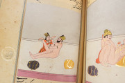 Ladhdhat al-nisâ (The pleasures of women), Paris, Bibliothèque nationale de France, Suppl. Persan 1804 − Photo 16