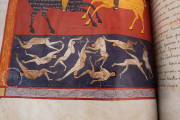 Beatus of Liébana - Facundus Codex, Madrid, Biblioteca Nacional de España, Ms. Vit. 14-2 − Photo 15