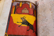 Beatus of Liébana - Facundus Codex, Madrid, Biblioteca Nacional de España, Ms. Vit. 14-2 − Photo 20