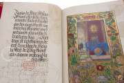 London Splendor Solis, London, British Library, MS Harley 3469 − Photo 18