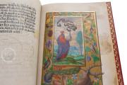 London Splendor Solis, London, British Library, MS Harley 3469 − Photo 19