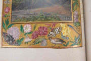 London Splendor Solis, London, British Library, MS Harley 3469 − Photo 21