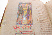 Book of Testaments, Oviedo
Spain, Archivo de la Santa Iglesia Catedral − Photo 10