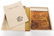 Codex Cospi, Bologna, Biblioteca Universitaria di Bologna, Cod. 4093 − Photo 2