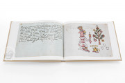 Codex Magliabechiano, Florence, Biblioteca Nazionale Centrale, MS Magl. Cl. XIII.3 − Photo 9
