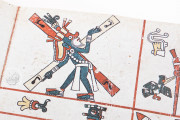 Codex Fejérváry-Mayer, Liverpool, World Museum Liverpool, 12014 M − Photo 12