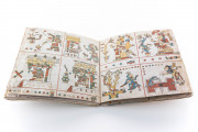 Codex Fejérváry-Mayer, Liverpool, World Museum Liverpool, 12014 M − Photo 15