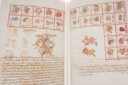 Codex Vaticanus A (3738), Vatican City, Biblioteca Apostolica Vaticana − Photo 15