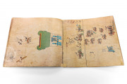 Codex Borbonicus, Paris, Bibliothèque de l’Assemblée nationale, Y120 − Photo 5
