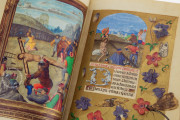 La Flora - Book of Hours, Naples, Biblioteca Nazionale Vittorio Emanuele III, Ms. I.B.51 − Photo 8