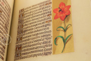 La Flora - Book of Hours, Naples, Biblioteca Nazionale Vittorio Emanuele III, Ms. I.B.51 − Photo 11