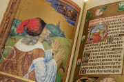 La Flora - Book of Hours, Naples, Biblioteca Nazionale Vittorio Emanuele III, Ms. I.B.51 − Photo 13