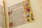 La Flora - Book of Hours, Naples, Biblioteca Nazionale Vittorio Emanuele III, Ms. I.B.51 − Photo 15