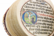 Codex Rotundus, Hs 728 - Dombibliothek (Hildesheim, Germany) − photo 8
