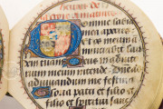 Codex Rotundus, Hs 728 - Dombibliothek (Hildesheim, Germany) − photo 10