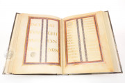 Lorsch Gospels Pal. lat. 50 - Biblioteca Apostolica Vaticana; 
Biblioteca Documentara Batthyaneum; Inv. Nr. 138-1866 - Victoria and Albert Museum (London, United Kingdom) − photo 13