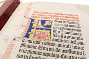 Gutenberg Bible - Pelplin copy, Pelplin, Biblioteka Seminarium Duchownego, Hub. 28 − Photo 5