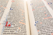 Gutenberg Bible - Pelplin copy, Pelplin, Biblioteka Seminarium Duchownego, Hub. 28 − Photo 8
