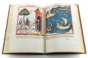Tacuinum Sanitatis in Medicina, Codex Vindobonensis S. N. 2644 - Österreichische Nationalbibliothek (Vienna, Austria) Österreichische Nationalbibliothek (Vienna, Austria) − photo 4