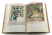 Tacuinum Sanitatis in Medicina, Codex Vindobonensis S. N. 2644 - Österreichische Nationalbibliothek (Vienna, Austria) Österreichische Nationalbibliothek (Vienna, Austria) − photo 7