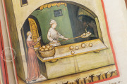 Tacuinum Sanitatis in Medicina, Codex Vindobonensis S. N. 2644 - Österreichische Nationalbibliothek (Vienna, Austria) Österreichische Nationalbibliothek (Vienna, Austria) − photo 9
