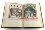 Tacuinum Sanitatis in Medicina, Codex Vindobonensis S. N. 2644 - Österreichische Nationalbibliothek (Vienna, Austria) Österreichische Nationalbibliothek (Vienna, Austria) − photo 10