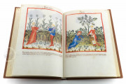 Tacuinum Sanitatis in Medicina, Codex Vindobonensis S. N. 2644 - Österreichische Nationalbibliothek (Vienna, Austria) Österreichische Nationalbibliothek (Vienna, Austria) − photo 11