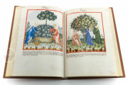 Tacuinum Sanitatis in Medicina, Codex Vindobonensis S. N. 2644 - Österreichische Nationalbibliothek (Vienna, Austria) Österreichische Nationalbibliothek (Vienna, Austria) − photo 13