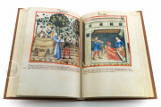 Tacuinum Sanitatis in Medicina, Codex Vindobonensis S. N. 2644 - Österreichische Nationalbibliothek (Vienna, Austria) Österreichische Nationalbibliothek (Vienna, Austria) − photo 15