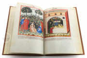 Tacuinum Sanitatis in Medicina, Codex Vindobonensis S. N. 2644 - Österreichische Nationalbibliothek (Vienna, Austria) Österreichische Nationalbibliothek (Vienna, Austria) − photo 17