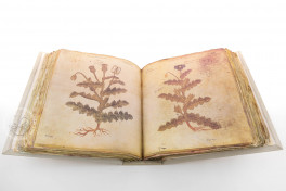 Vienna Dioscorides Facsimile Edition
